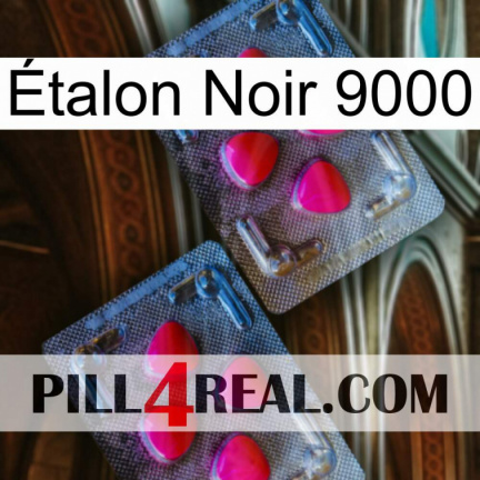 Étalon Noir 9000 14